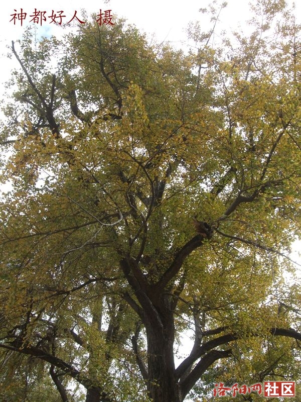 DSCF4099.JPG
