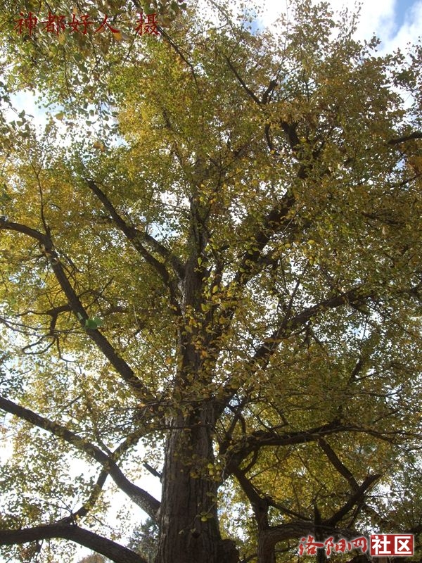 DSCF4100.JPG