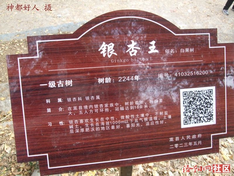 DSCF4101.JPG