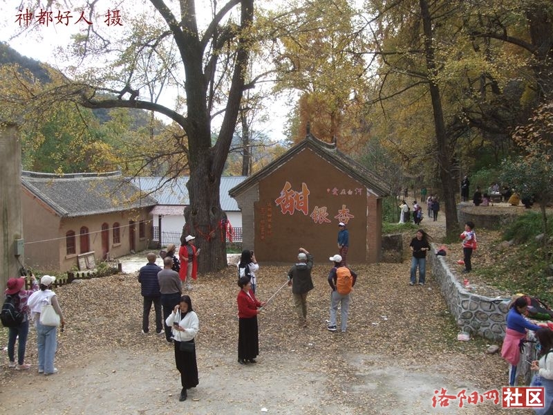 DSCF4102.JPG
