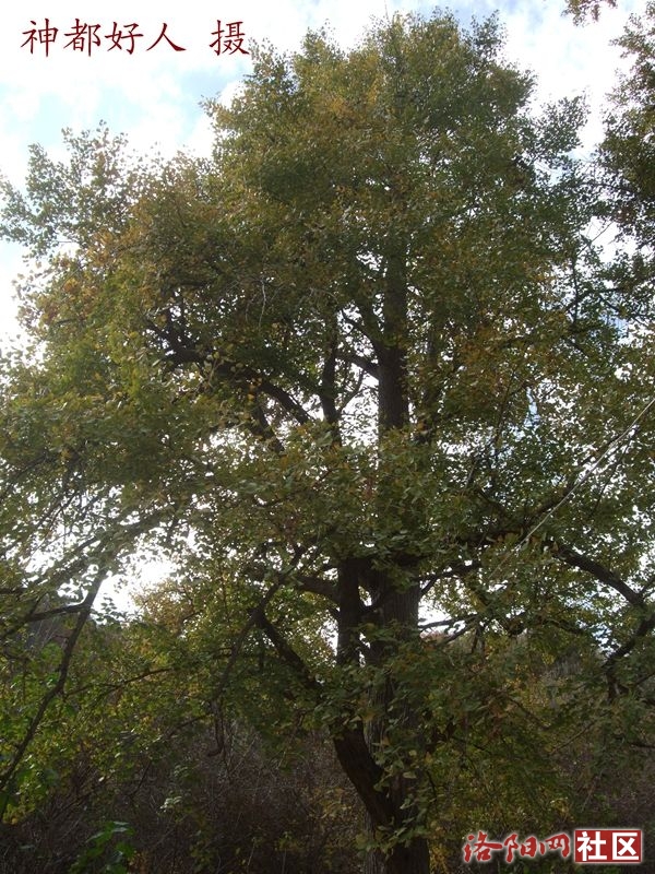 DSCF4103.JPG