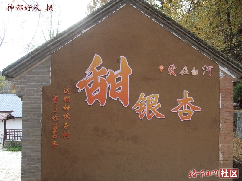 DSCF4105.JPG