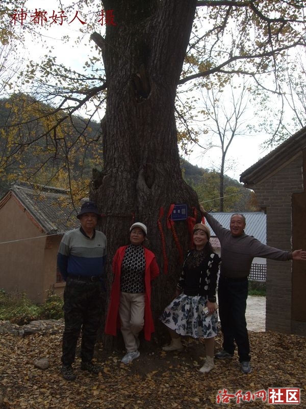 DSCF4114.JPG