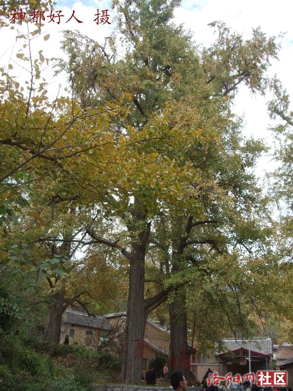DSCF4118.JPG
