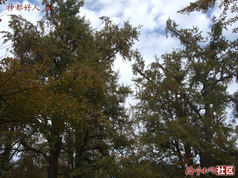 DSCF4119.JPG