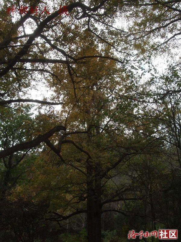 DSCF4121.JPG