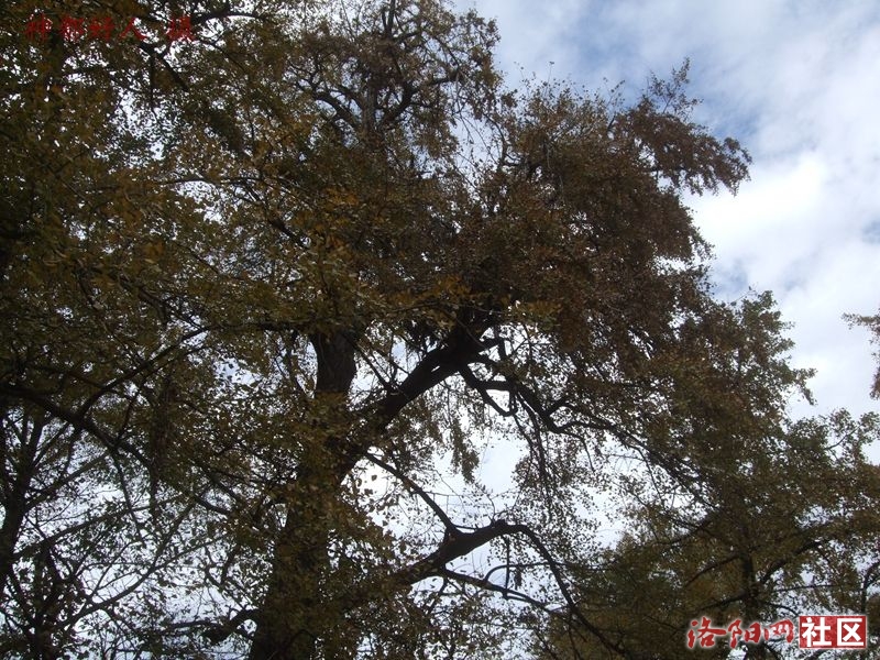 DSCF4122.JPG