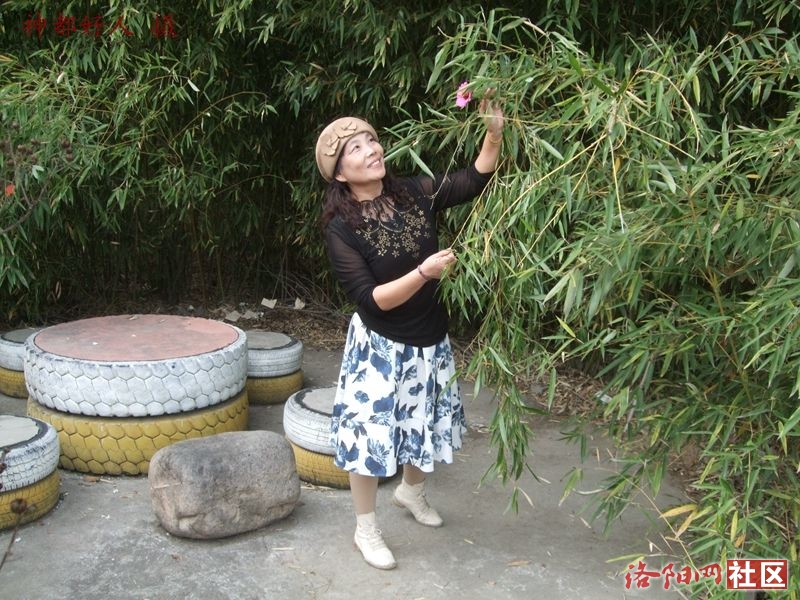DSCF4131.JPG
