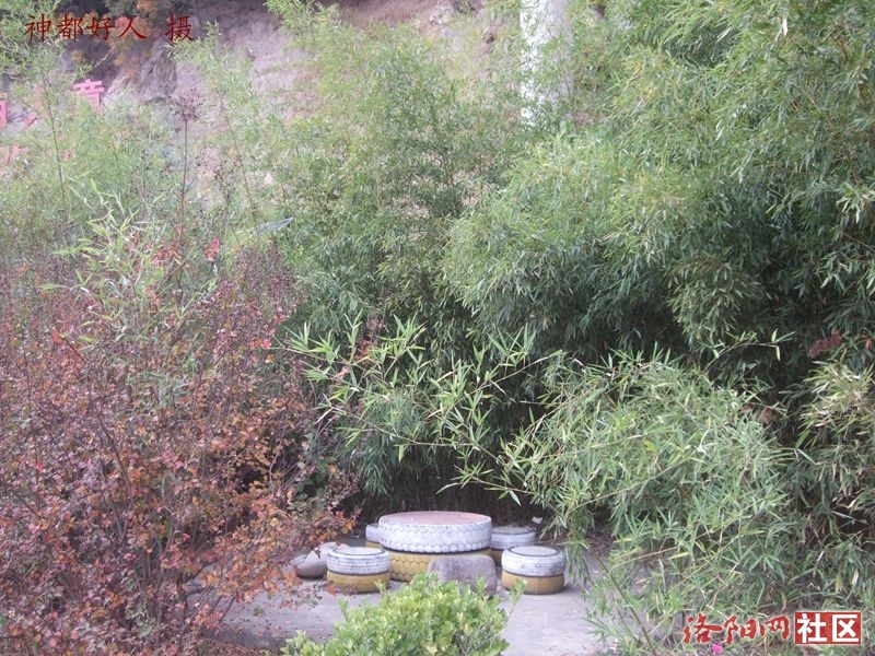 DSCF4140.JPG