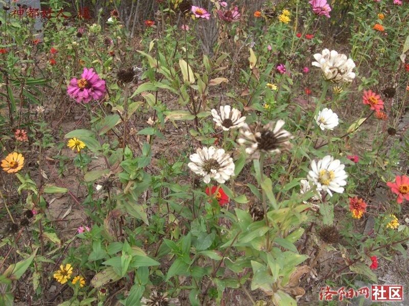 DSCF4141.JPG