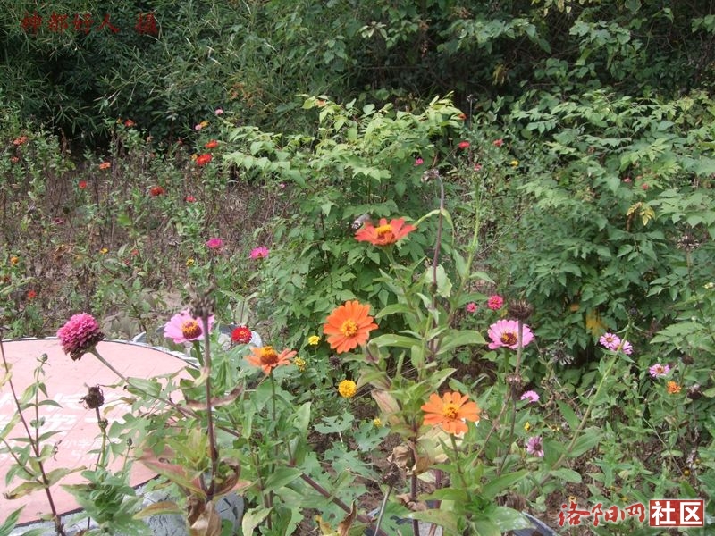 DSCF4142.JPG