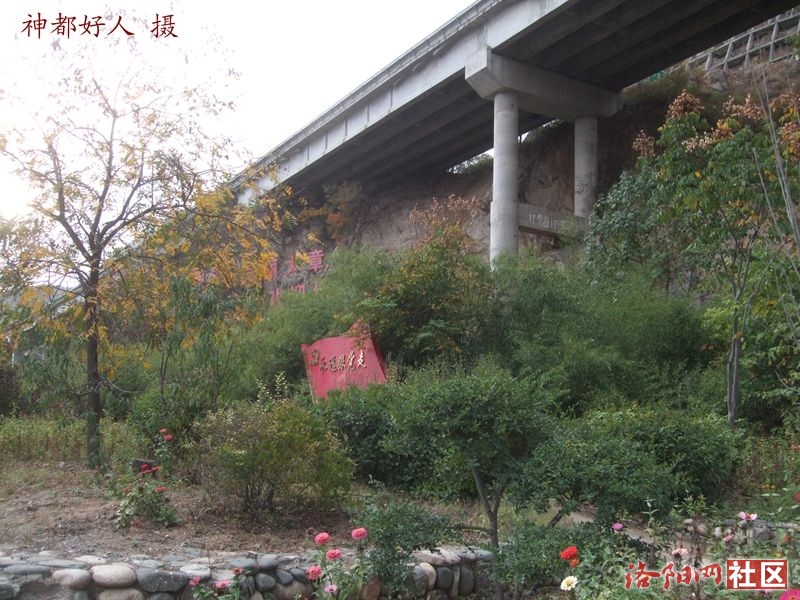 DSCF4144.JPG