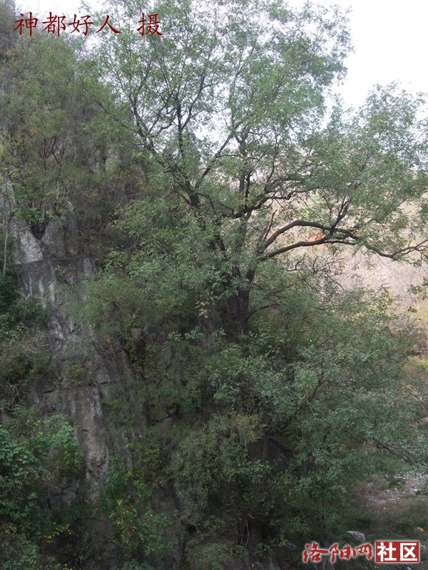 DSCF4023.JPG