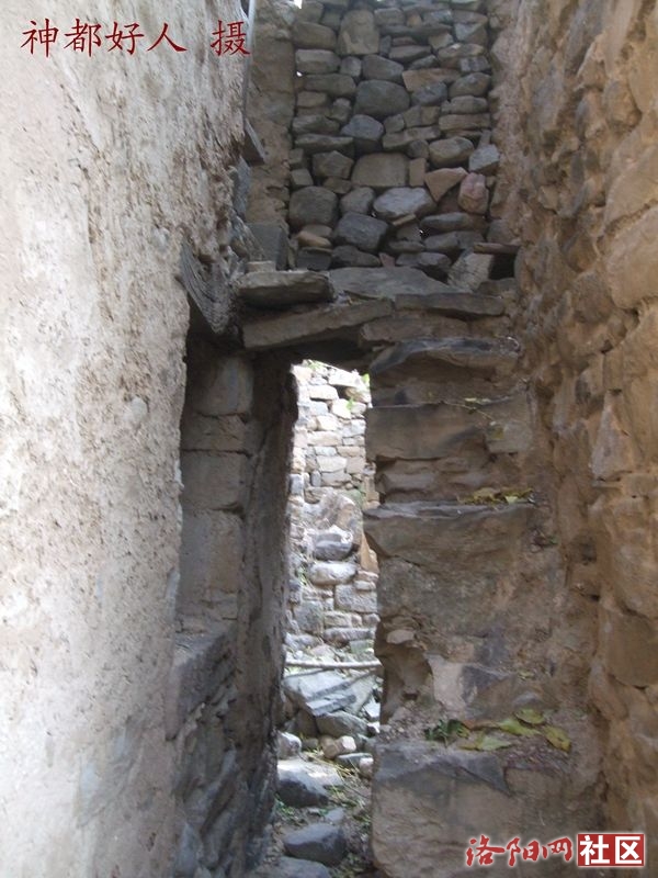 DSCF4035.JPG