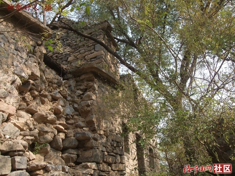 DSCF4038.JPG