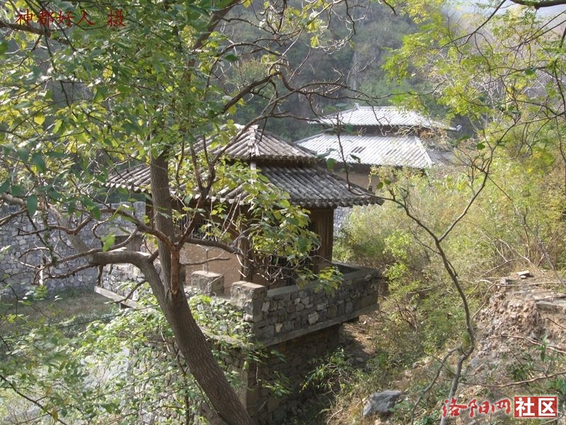 DSCF4046.JPG