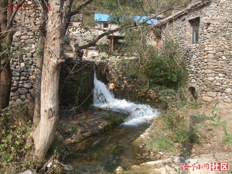 DSCF4065.JPG