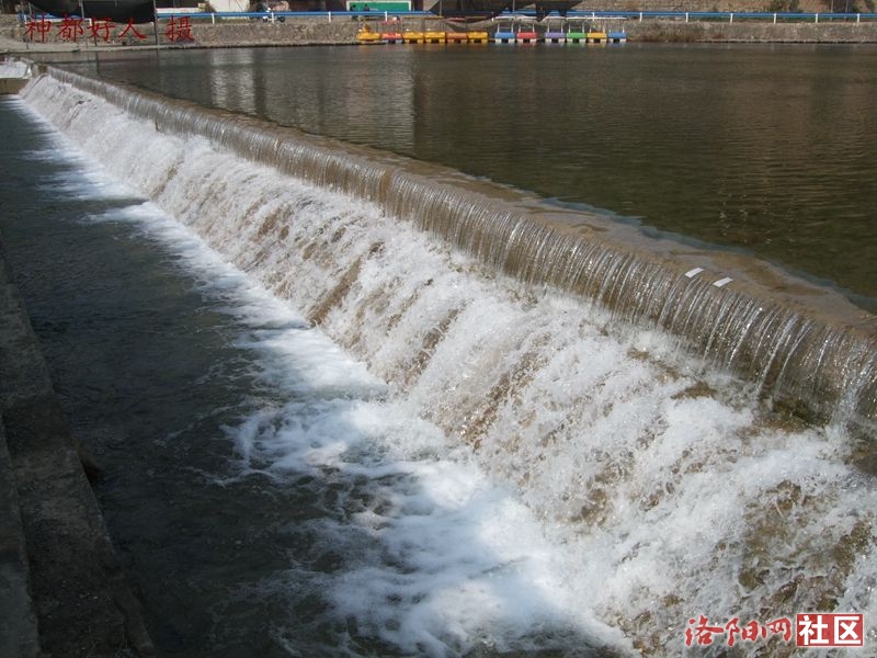 DSCF4102.JPG