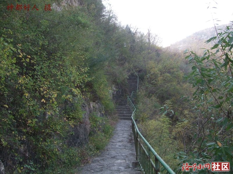 DSCF4132.JPG