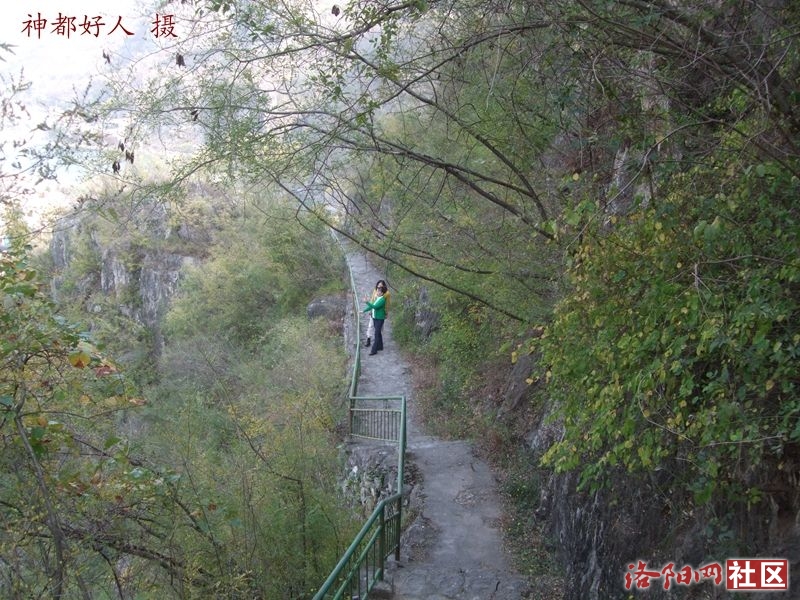 DSCF4141.JPG