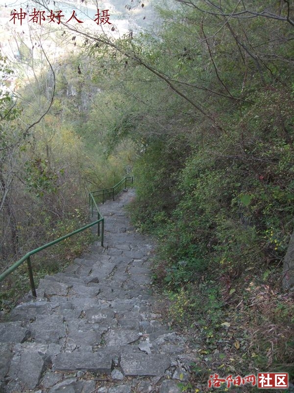 DSCF4142.JPG