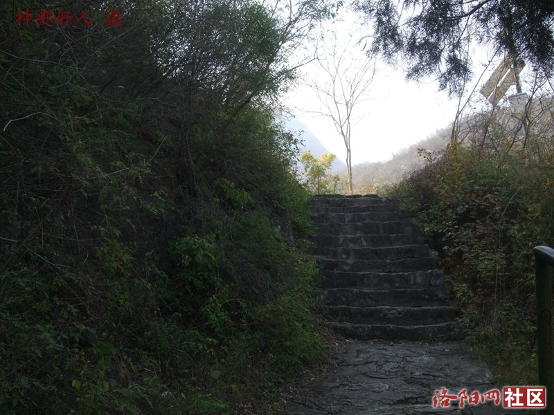 DSCF4143.JPG