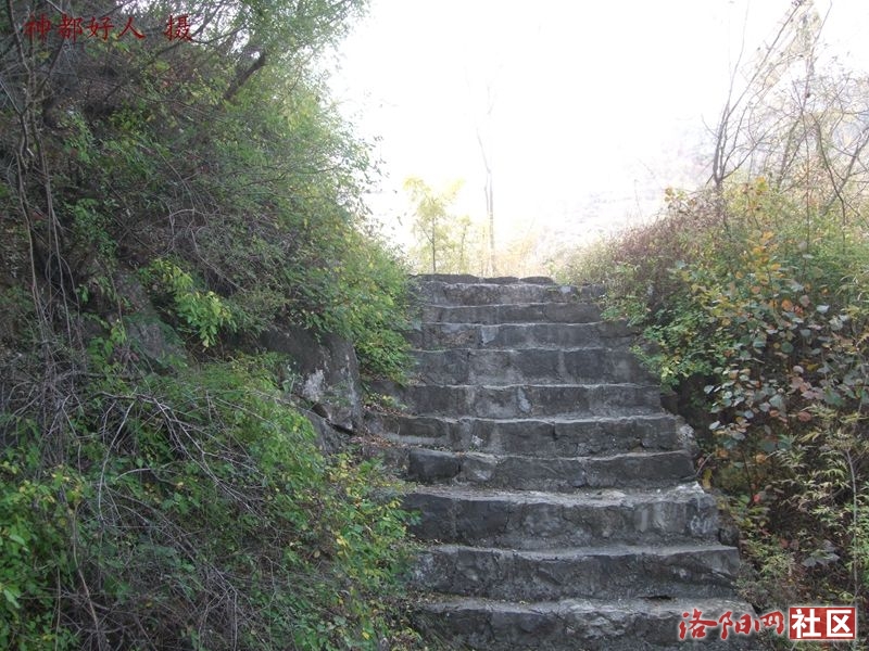 DSCF4145.JPG