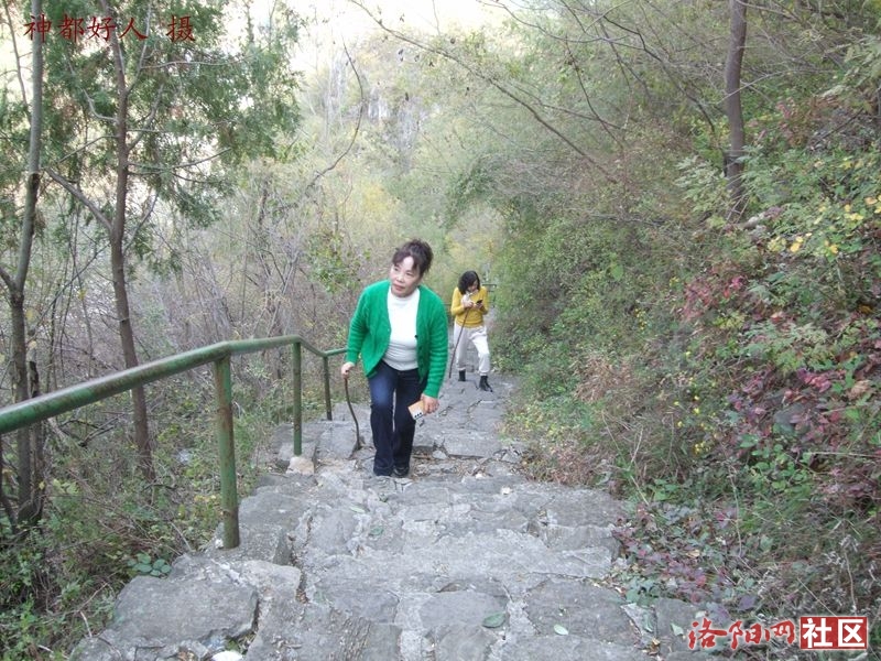 DSCF4147.JPG