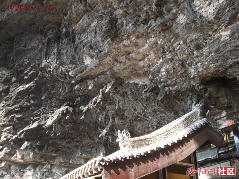 DSCF4062.JPG