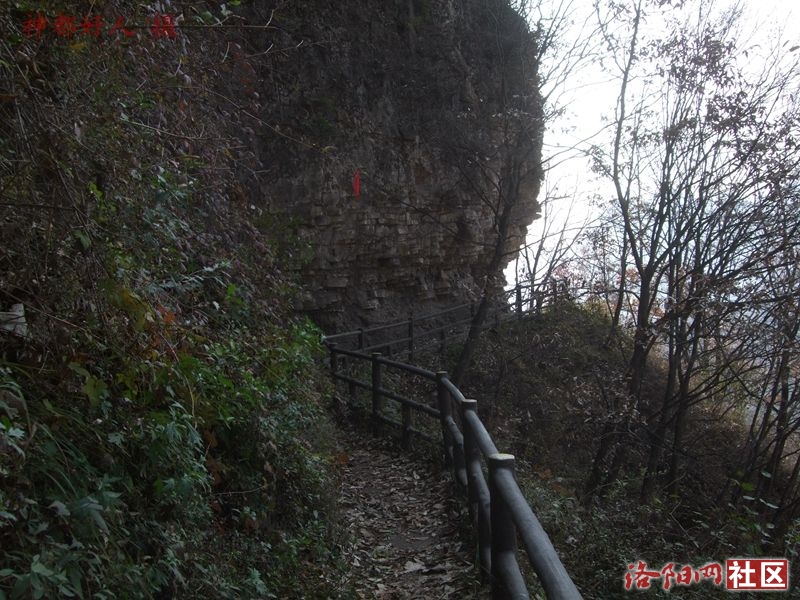 DSCF4088.JPG
