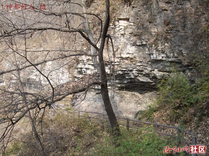 DSCF4090.JPG