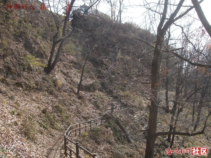 DSCF4096.JPG