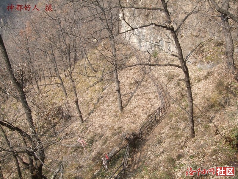 DSCF4098.JPG
