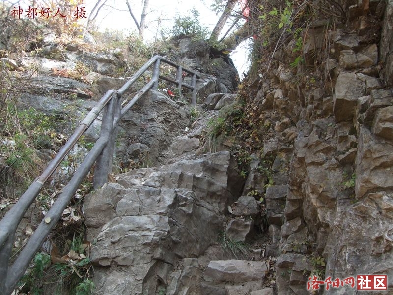 DSCF4099.JPG