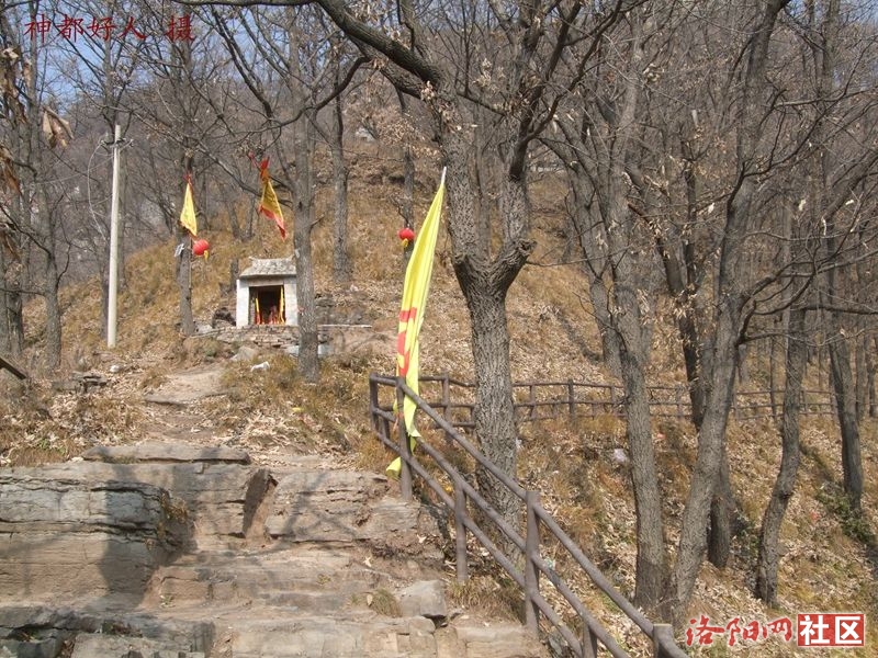 DSCF4110.JPG