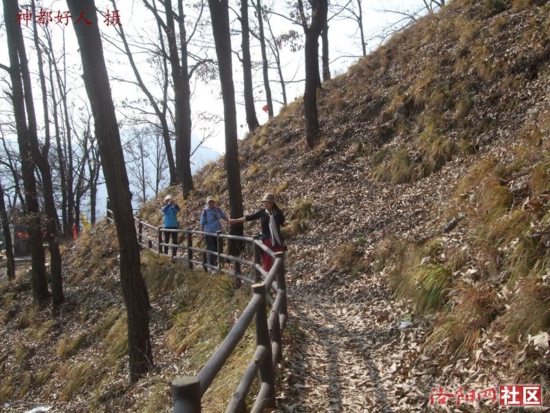 DSCF4117.JPG
