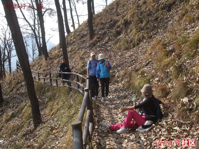 DSCF4119.JPG