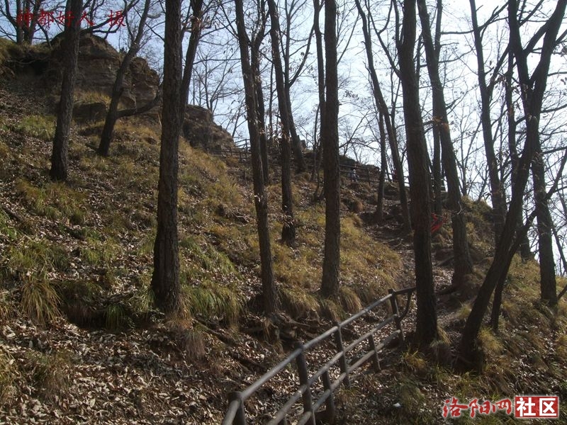 DSCF4121.JPG