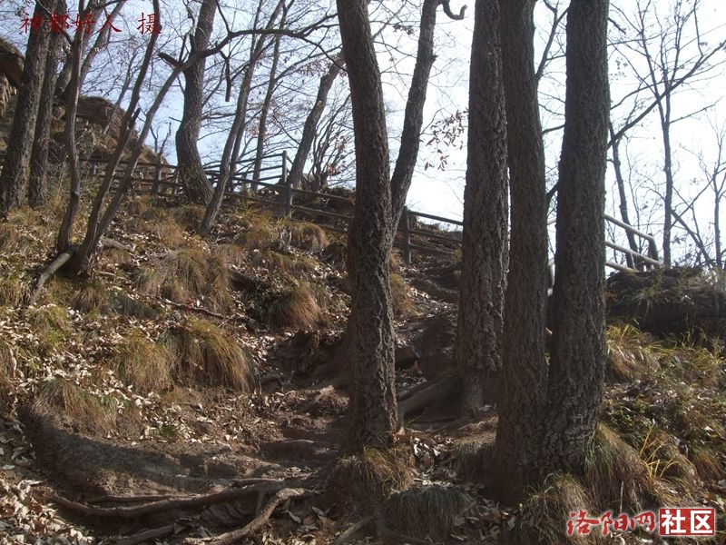 DSCF4122.JPG