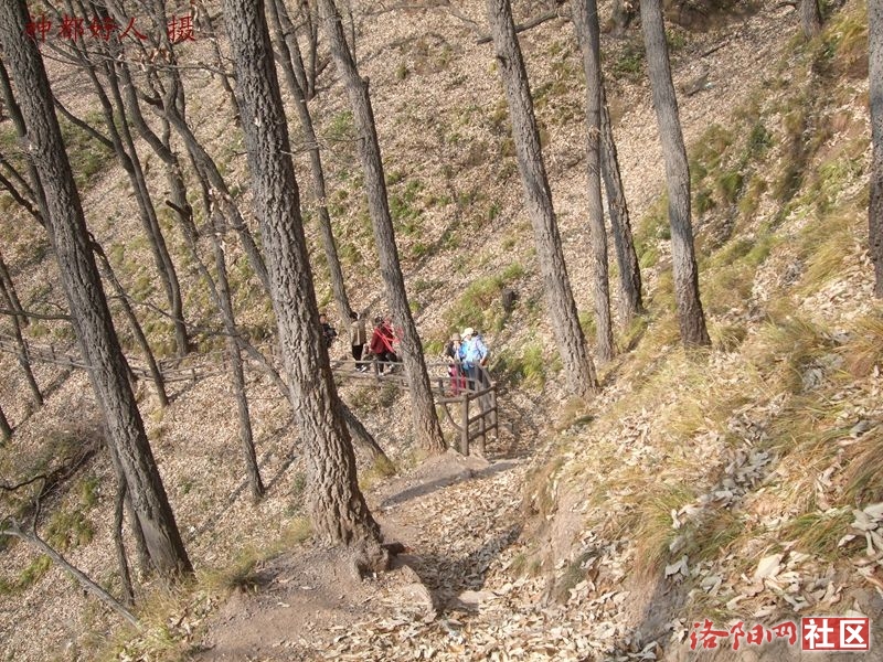 DSCF4123.JPG