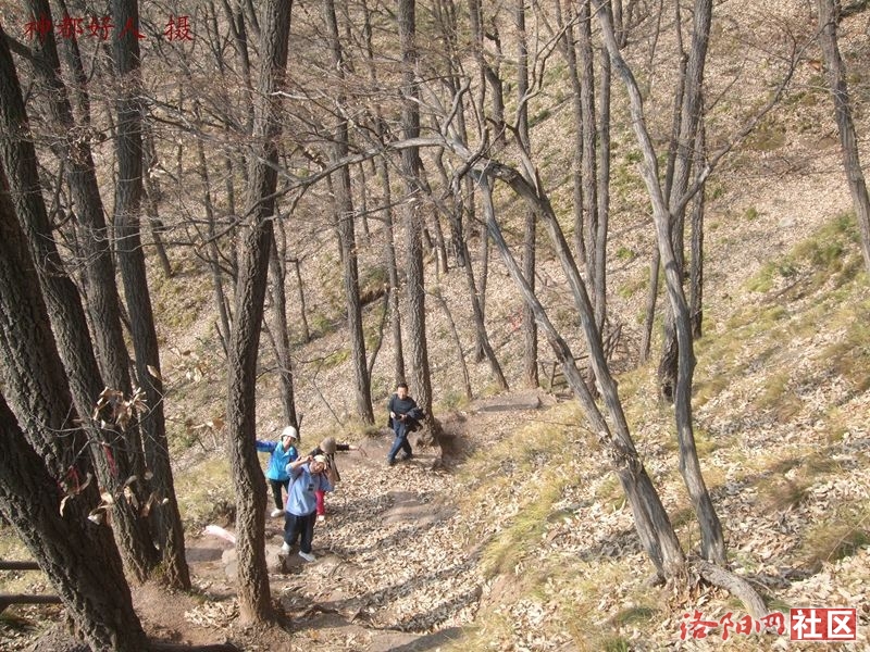 DSCF4125.JPG