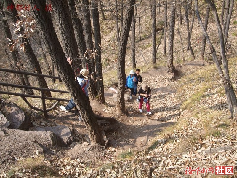 DSCF4126.JPG