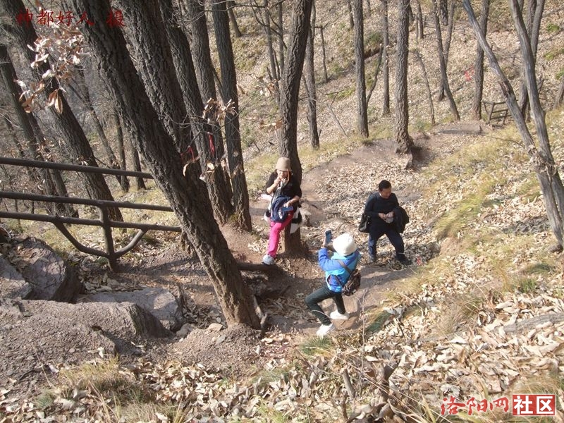 DSCF4127.JPG