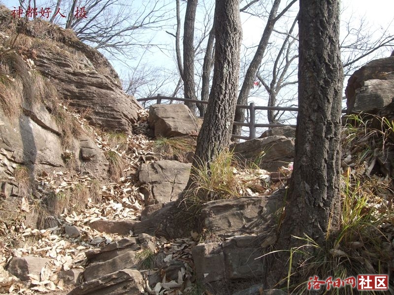 DSCF4130.JPG