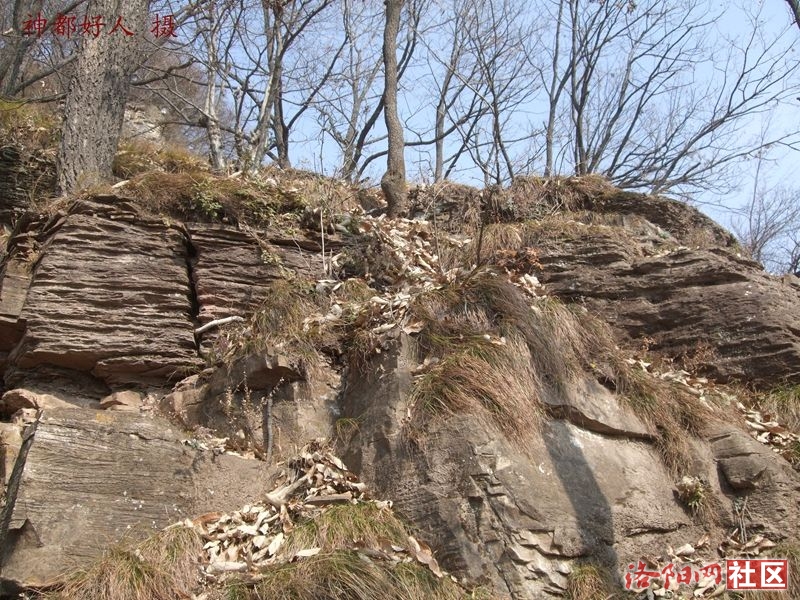 DSCF4131.JPG