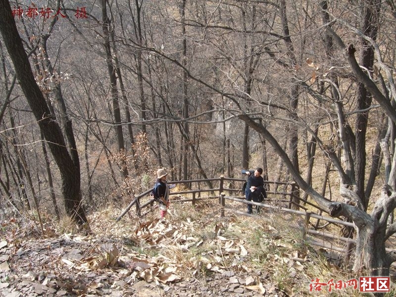 DSCF4133.JPG