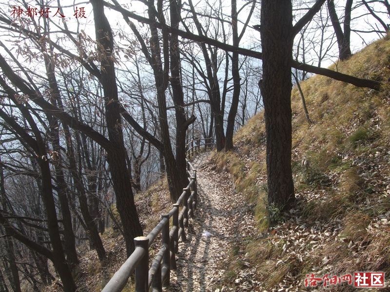 DSCF4136.JPG