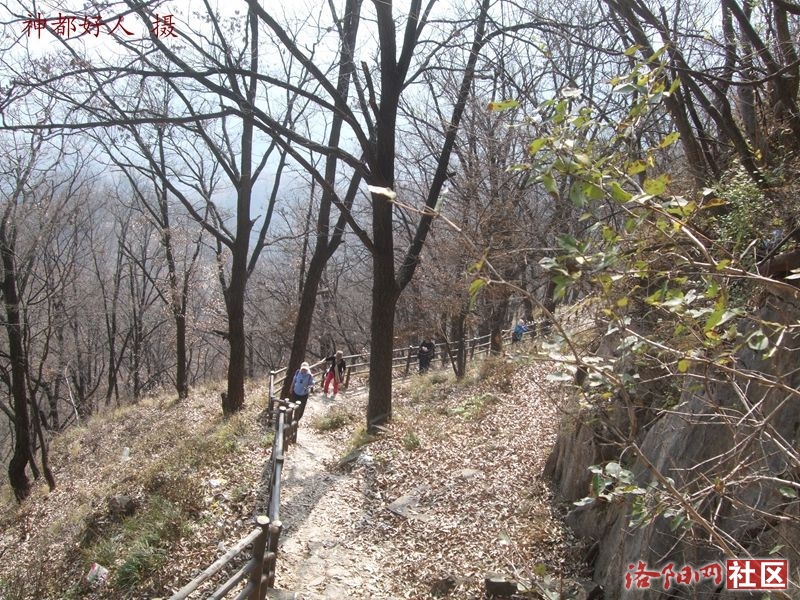 DSCF4138.JPG