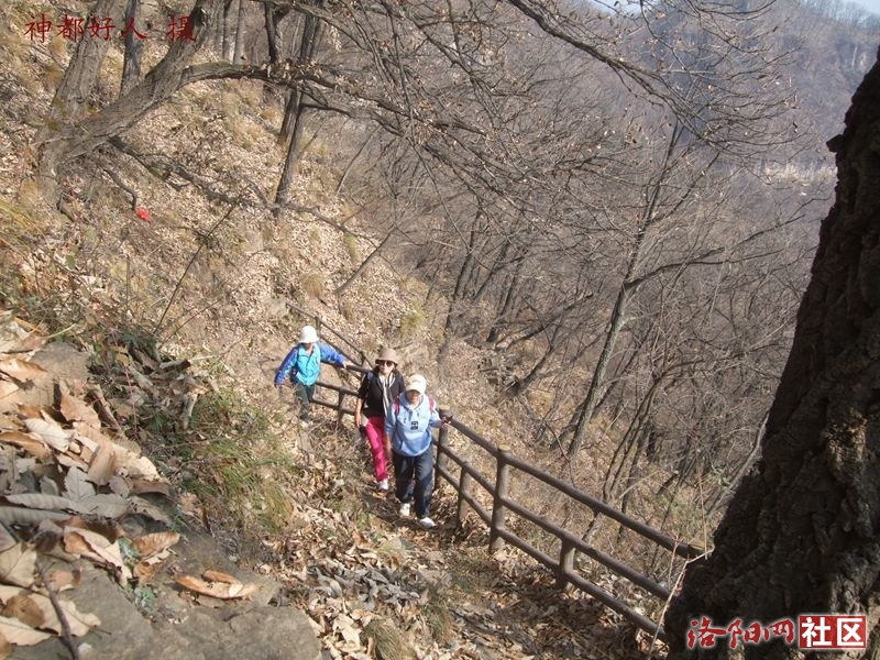 DSCF4141.JPG