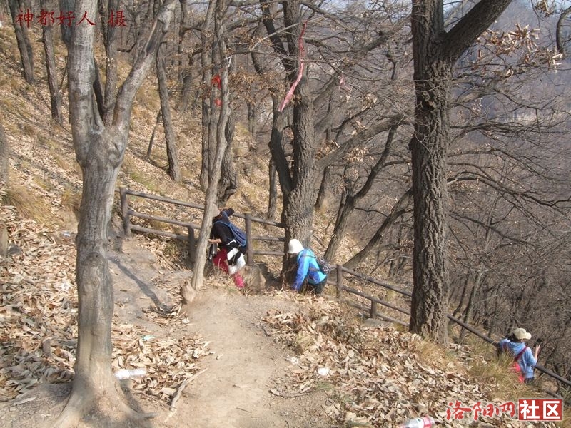 DSCF4144.JPG